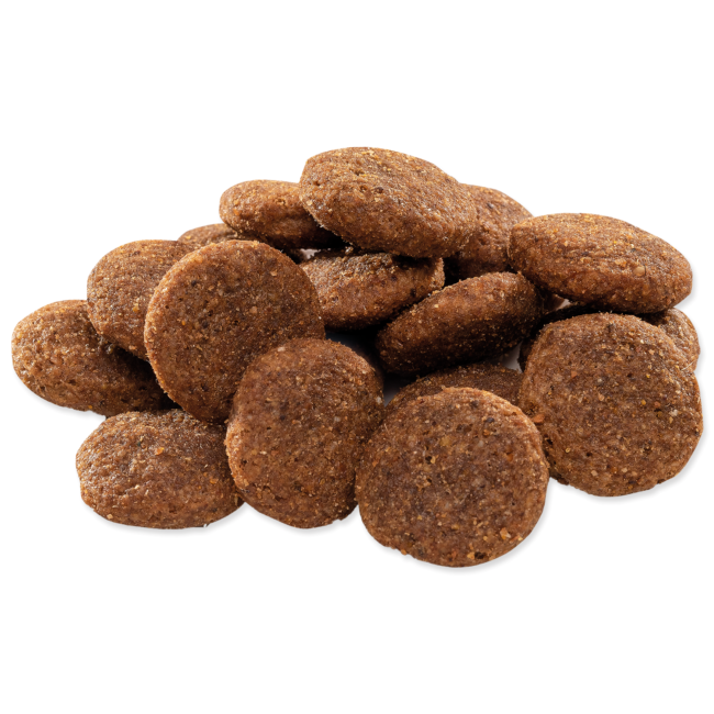 2b0a94e497d4568d00cc14afb0f2e1aa