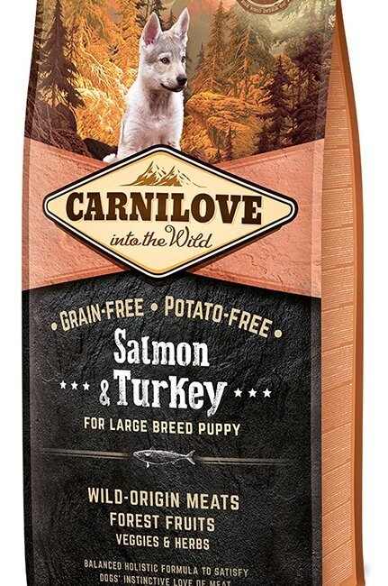 d38704d29311648a515f7dd2d6317472