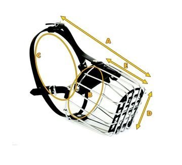 a956fa05331cd82c146454e124fda26a