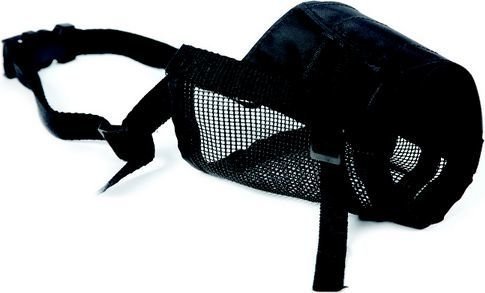 e805e9e73f0390cdb1d6e85366475539