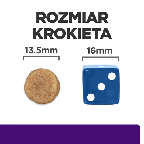 1983d826be677c4b7b76c71c8a404858