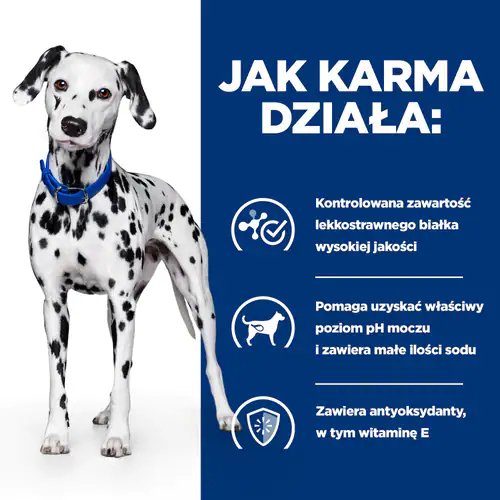 fe61057f75e9a088a0b6f6151a3645dd