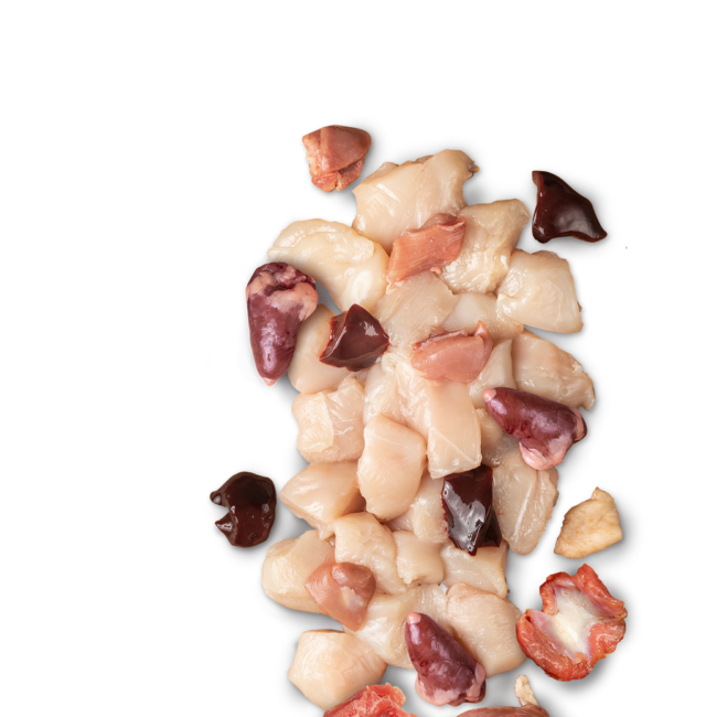 2c940851729467a9deb361c71dbb4d28