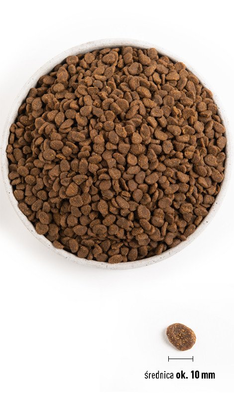 04e05ca453e505fb085236fe35389380