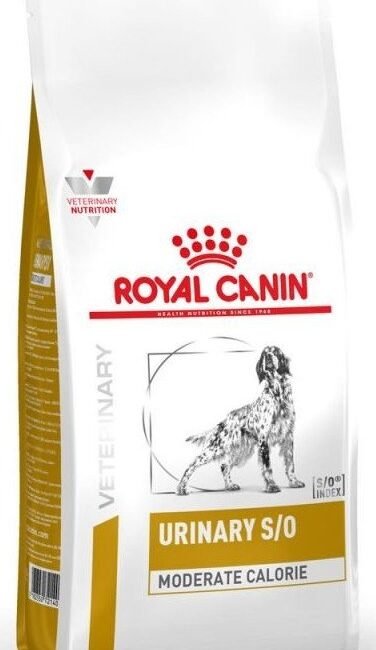 96799f229fc4870db56d2e0be834022d