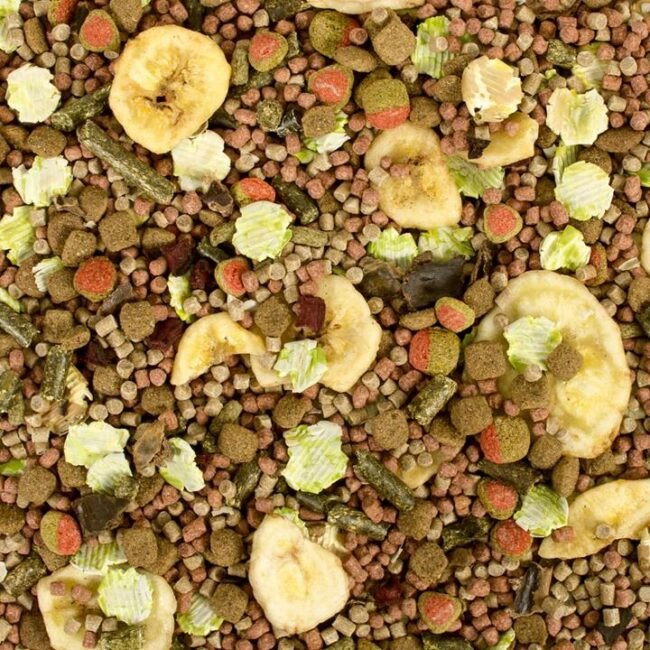 c0b8e8e5cb3f1cce14977e72d430ce4b